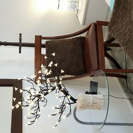 公寓 Gran Canaria 阿里纳加